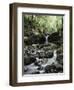 Hawaii, Maui, a Waterfall Flows into Blue Pool from the Rainforest-Christopher Talbot Frank-Framed Photographic Print