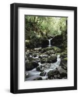 Hawaii, Maui, a Waterfall Flows into Blue Pool from the Rainforest-Christopher Talbot Frank-Framed Photographic Print