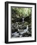 Hawaii, Maui, a Waterfall Flows into Blue Pool from the Rainforest-Christopher Talbot Frank-Framed Photographic Print