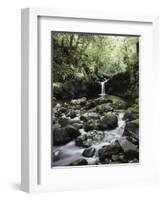 Hawaii, Maui, a Waterfall Flows into Blue Pool from the Rainforest-Christopher Talbot Frank-Framed Photographic Print