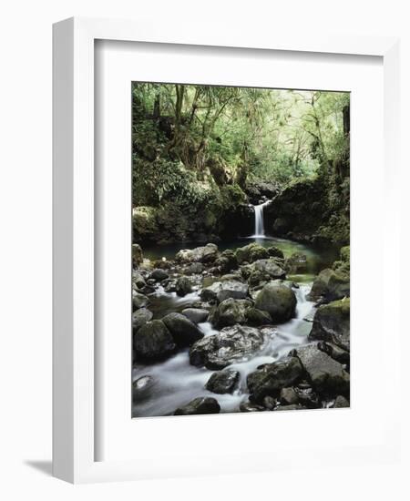 Hawaii, Maui, a Waterfall Flows into Blue Pool from the Rainforest-Christopher Talbot Frank-Framed Photographic Print