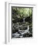 Hawaii, Maui, a Waterfall Flows into Blue Pool from the Rainforest-Christopher Talbot Frank-Framed Photographic Print