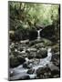 Hawaii, Maui, a Waterfall Flows into Blue Pool from the Rainforest-Christopher Talbot Frank-Mounted Premium Photographic Print