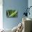 Hawaii, Maui, Agave Plant with Fresh Green Leaves-Terry Eggers-Mounted Photographic Print displayed on a wall