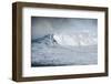 Hawaii, Maui. Kai Lenny Stand Up Paddle Board Surfing Monster Waves at Pe'Ahi Jaws-Janis Miglavs-Framed Photographic Print