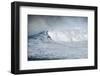 Hawaii, Maui. Kai Lenny Stand Up Paddle Board Surfing Monster Waves at Pe'Ahi Jaws-Janis Miglavs-Framed Photographic Print