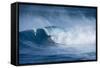 Hawaii, Maui. Kai Lenny Surfing Monster Waves at Pe'Ahi Jaws, North Shore Maui-Janis Miglavs-Framed Stretched Canvas