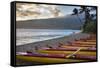 Hawaii, Maui, Kihei. Outrigger canoes on Kalae Pohaku beach and palm trees.-Janis Miglavs-Framed Stretched Canvas