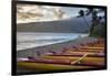 Hawaii, Maui, Kihei. Outrigger canoes on Kalae Pohaku beach and palm trees.-Janis Miglavs-Framed Photographic Print