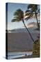 Hawaii, Maui, Kihei. Tourists walking under palm trees on Kalae Pohaku beach.-Janis Miglavs-Stretched Canvas