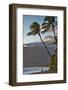 Hawaii, Maui, Kihei. Tourists walking under palm trees on Kalae Pohaku beach.-Janis Miglavs-Framed Photographic Print