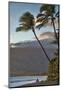 Hawaii, Maui, Kihei. Tourists walking under palm trees on Kalae Pohaku beach.-Janis Miglavs-Mounted Photographic Print