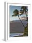 Hawaii, Maui, Kihei. Tourists walking under palm trees on Kalae Pohaku beach.-Janis Miglavs-Framed Photographic Print