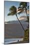 Hawaii, Maui, Kihei. Tourists walking under palm trees on Kalae Pohaku beach.-Janis Miglavs-Mounted Photographic Print