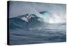 Hawaii, Maui. Lone Figure Windsurfing Monster Waves at Pe'Ahi Jaws, North Shore Maui-Janis Miglavs-Stretched Canvas