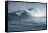 Hawaii, Maui. Lone Figure Windsurfing Monster Waves at Pe'Ahi Jaws, North Shore Maui-Janis Miglavs-Framed Stretched Canvas