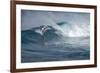 Hawaii, Maui. Lone Figure Windsurfing Monster Waves at Pe'Ahi Jaws, North Shore Maui-Janis Miglavs-Framed Photographic Print