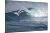 Hawaii, Maui. Lone Figure Windsurfing Monster Waves at Pe'Ahi Jaws, North Shore Maui-Janis Miglavs-Mounted Photographic Print