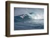 Hawaii, Maui. Lone Figure Windsurfing Monster Waves at Pe'Ahi Jaws, North Shore Maui-Janis Miglavs-Framed Photographic Print