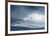 Hawaii, Maui. Niccolo Porcella Windsurfing Monster Waves at Pe'Ahi Jaws, North Shore Maui, Hawaii-Janis Miglavs-Framed Photographic Print