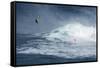 Hawaii, Maui. Niccolo Porcella Windsurfing Monster Waves at Pe'Ahi Jaws, North Shore Maui, Hawaii-Janis Miglavs-Framed Stretched Canvas