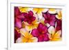 Hawaii, Maui, Plumeria in Mass Display-Terry Eggers-Framed Photographic Print