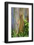 Hawaii, Maui, Rainbow Eucalyptus Trees-Terry Eggers-Framed Photographic Print