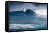 Hawaii, Maui. Robby Naish Windsurfing Monster Waves at Pe'Ahi Jaws, North Shore Maui-Janis Miglavs-Framed Stretched Canvas