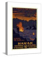 Hawaii National Park-null-Stretched Canvas