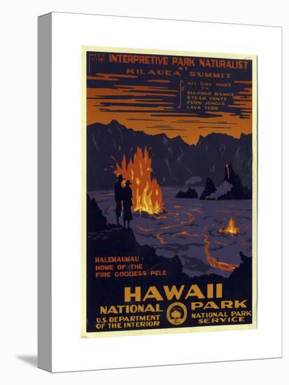 Hawaii National Park-null-Stretched Canvas