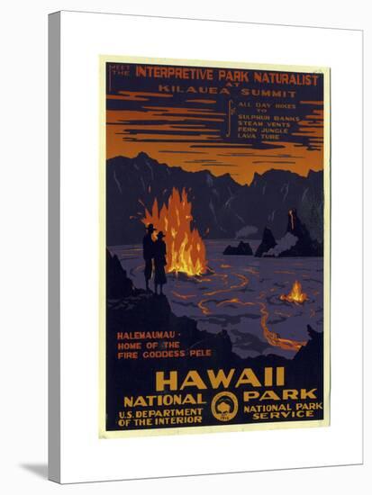 Hawaii National Park-null-Stretched Canvas
