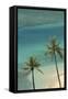 Hawaii, Oahu, Honolulu, Waikiki, Fort Derussy Beach and Palm Trees-David Wall-Framed Stretched Canvas