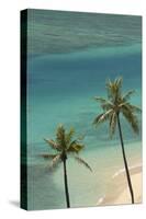 Hawaii, Oahu, Honolulu, Waikiki, Fort Derussy Beach and Palm Trees-David Wall-Stretched Canvas