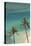 Hawaii, Oahu, Honolulu, Waikiki, Fort Derussy Beach and Palm Trees-David Wall-Stretched Canvas