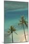 Hawaii, Oahu, Honolulu, Waikiki, Fort Derussy Beach and Palm Trees-David Wall-Mounted Photographic Print