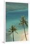 Hawaii, Oahu, Honolulu, Waikiki, Fort Derussy Beach and Palm Trees-David Wall-Framed Premium Photographic Print