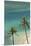 Hawaii, Oahu, Honolulu, Waikiki, Fort Derussy Beach and Palm Trees-David Wall-Mounted Premium Photographic Print