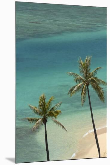 Hawaii, Oahu, Honolulu, Waikiki, Fort Derussy Beach and Palm Trees-David Wall-Mounted Premium Photographic Print