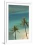 Hawaii, Oahu, Honolulu, Waikiki, Fort Derussy Beach and Palm Trees-David Wall-Framed Photographic Print