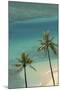 Hawaii, Oahu, Honolulu, Waikiki, Fort Derussy Beach and Palm Trees-David Wall-Mounted Photographic Print