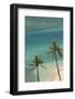 Hawaii, Oahu, Honolulu, Waikiki, Fort Derussy Beach and Palm Trees-David Wall-Framed Photographic Print