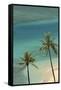 Hawaii, Oahu, Honolulu, Waikiki, Fort Derussy Beach and Palm Trees-David Wall-Framed Stretched Canvas