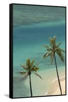 Hawaii, Oahu, Honolulu, Waikiki, Fort Derussy Beach and Palm Trees-David Wall-Framed Stretched Canvas