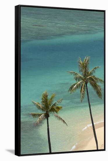 Hawaii, Oahu, Honolulu, Waikiki, Fort Derussy Beach and Palm Trees-David Wall-Framed Stretched Canvas