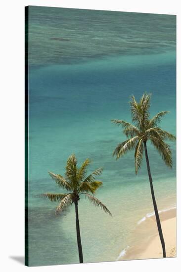 Hawaii, Oahu, Honolulu, Waikiki, Fort Derussy Beach and Palm Trees-David Wall-Stretched Canvas