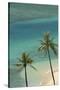 Hawaii, Oahu, Honolulu, Waikiki, Fort Derussy Beach and Palm Trees-David Wall-Stretched Canvas