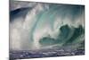 Hawaii, Oahu, Large Waves Along the Pipeline Beach-Terry Eggers-Mounted Photographic Print