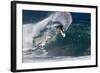 Hawaii, Oahu, Surfers in Action at the Pipeline on the Coast-Terry Eggers-Framed Photographic Print