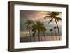 Hawaii Palm Sunset No. 1-Carlos Vargas-Framed Photographic Print