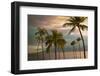 Hawaii Palm Sunset No. 1-Carlos Vargas-Framed Photographic Print